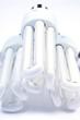 lampadina lampadina