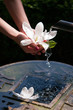 Foto: Wellness Wellness