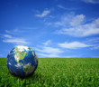 Landscape with globe