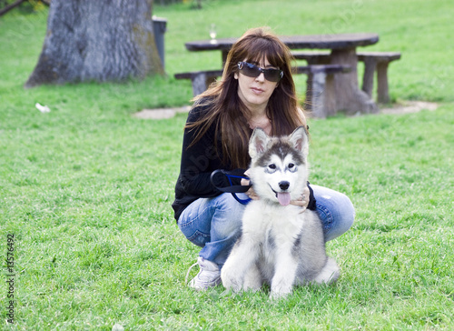 Foto: Husky Malamute Husky Malamute