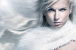 Fine art portrait of a beautiful lady in fur