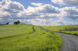 Cloudy hillside