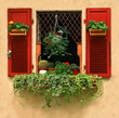 Blumenfenster