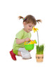 Cute girl watering flower Cute girl watering flower