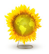flower planet