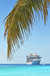 Details der Fotografie Palme mit Kreuzfahrtschiff im Hintergrund