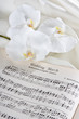 Wedding march and orchids