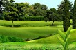 Campo da golf Campo da golf