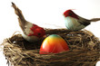 Pasqua