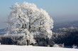 Winterlandschaft