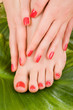 care for sensuality woman legs