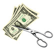 Cutting Spending