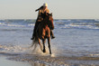 Galopp am Strand