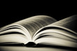 Opened book Opened book