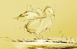 Yellow Water Chick