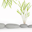 Zen Power Zen Power