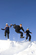 Group Jumping In Winter Landscape