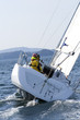 Yacht Sailing Regatta In Scandinavia