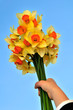 Hand holding flowers