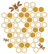 honey