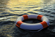 3d render of Buoy Ring floating in water