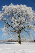 Winterlandschaft