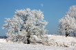 Schneelandschaft mit Mond
