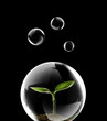 green concept