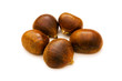 Many chestnuts isolated on the white background