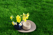 Daffodil and Hat