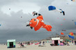 Cerfs volants