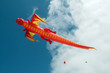Cerfs volants