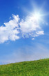Green field and blue sky Green field and blue sky