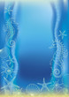 Sea bottom