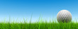 conceptual 3D golf ball on green grass over a blue sky conceptual 3D golf ball on green grass over a blue sky