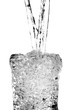 Vaso de agua