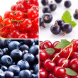 Berries