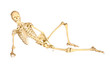full human skeleton reclined, isolation on white background