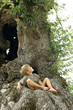 Foto: l'arbre et l'enfant l'arbre et l'enfant