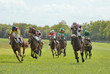Grand galop
