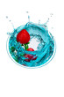 Splashing strawberry into a martini glass Splashing strawberry into a martini glass