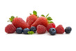 Frutti di Bosco
