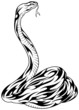 Snake - black outline illustration