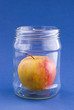 Apple of yellow-red color