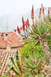 Rooftops of Eze village, French Riviera Rooftops of Eze village, French Riviera