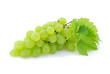 Bunch of Green Grapes laying