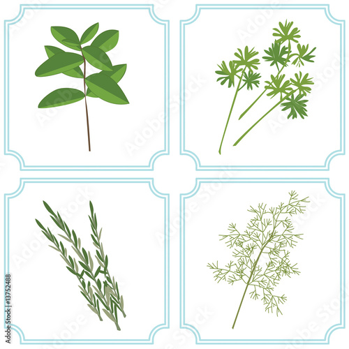  Culinary Herbs Grow on Culinary Herbs    Jihane  13752488   See Portfolio