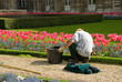 gardening gardening