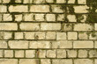 fragment of the old wall, texture