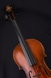 Violine, Griffbrett